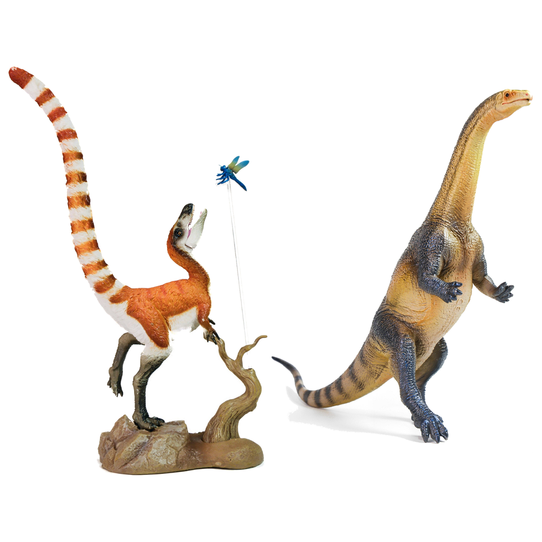 Dinosaurs of China complete figure set on a white background