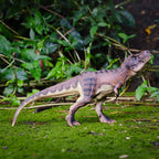 Brown Walking T. Rex Figure, displayed in a natural scene