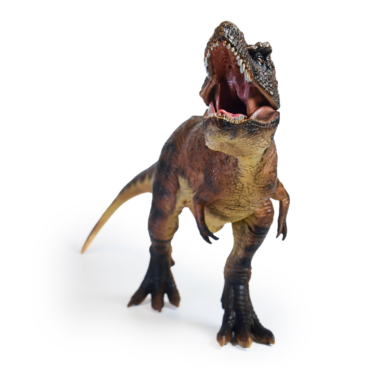 Brown Walking T. Rex Figure, front view on a white background