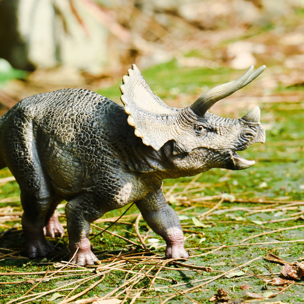 Triceratops Figure, displayed in a natural scene
