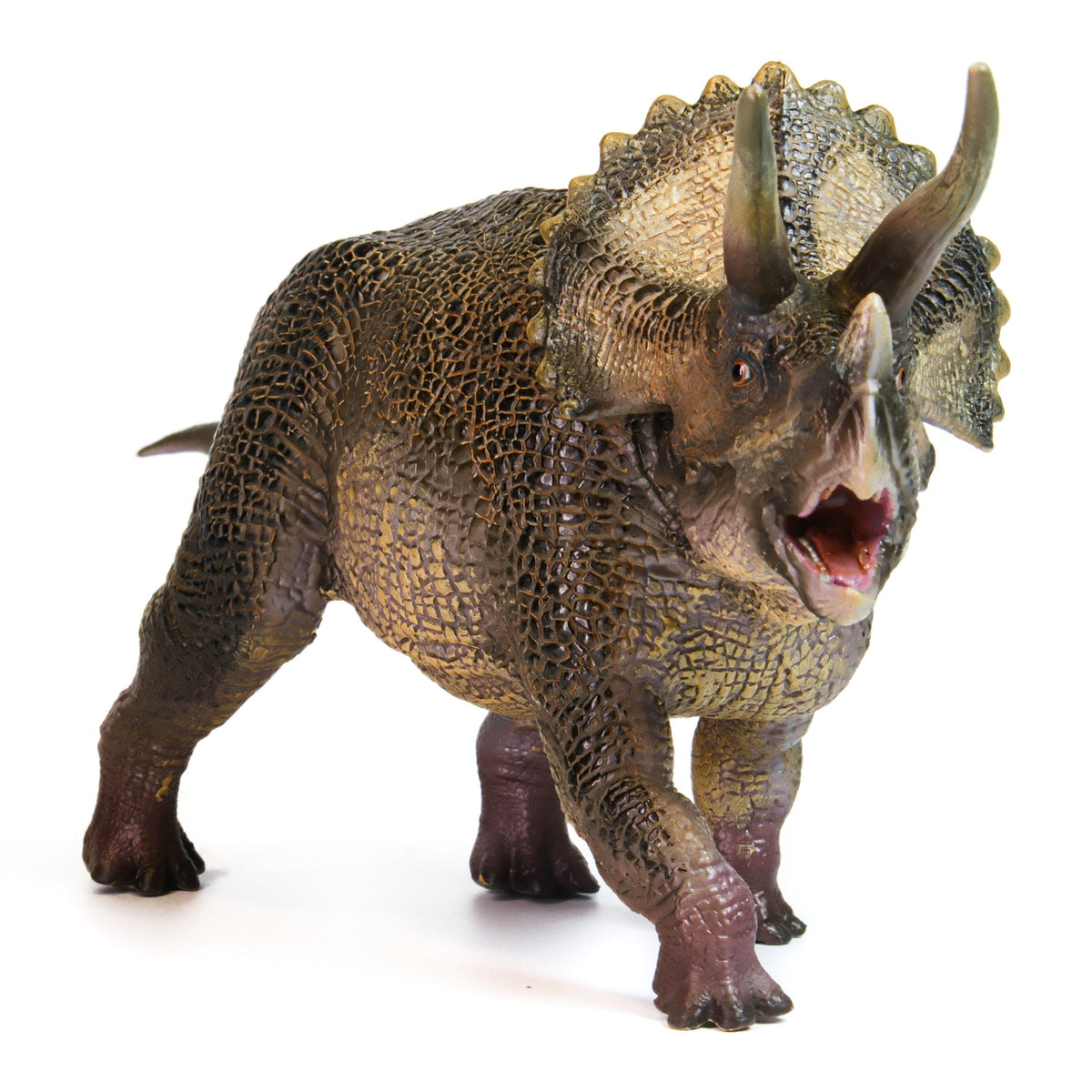 Triceratops Figure, front view on a white background