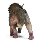 Triceratops Figure, rear view on a white background