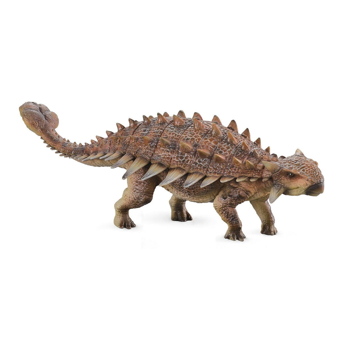 Ankylosaurus Figure, right-front view on a white background