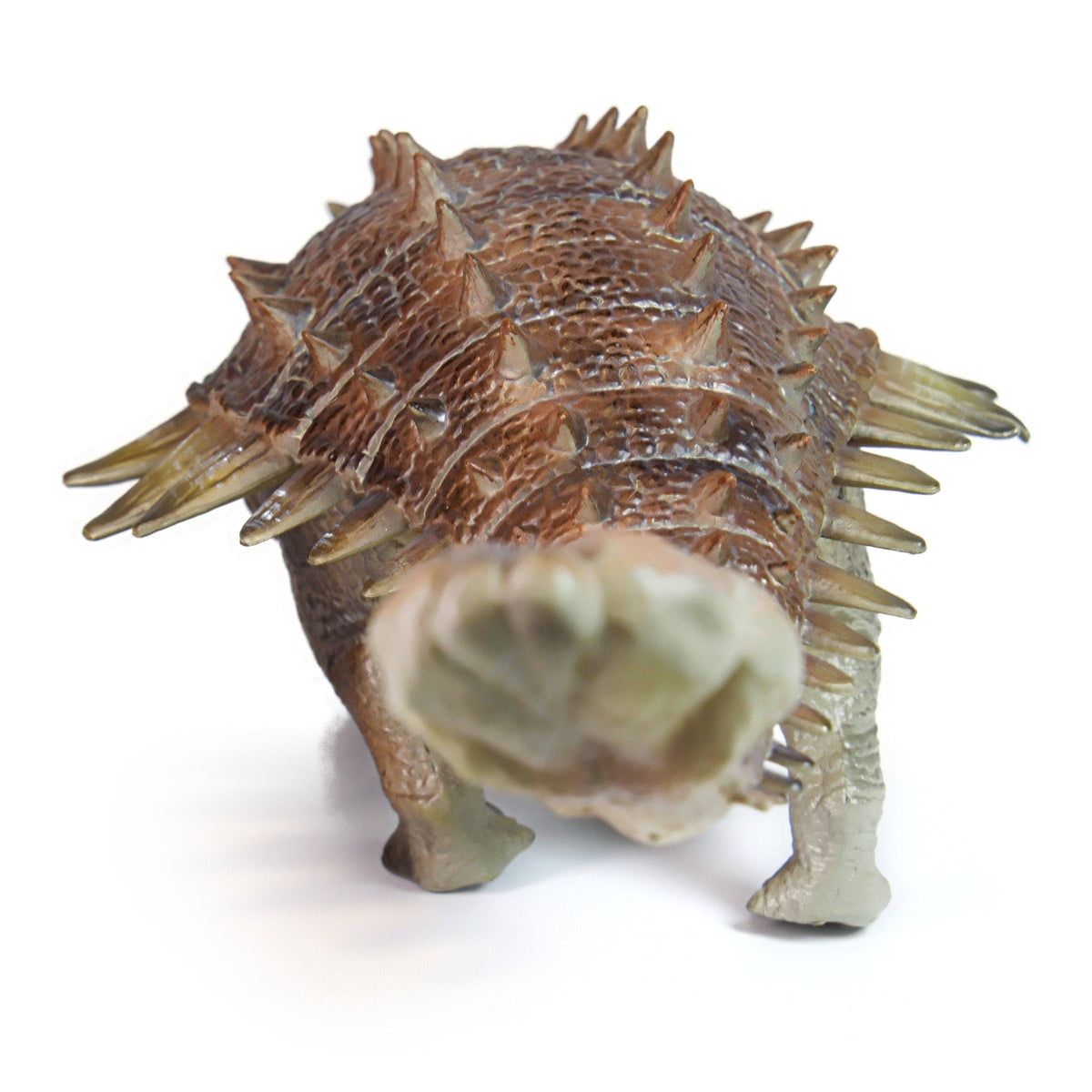 Ankylosaurus Figure, rear view on a white background