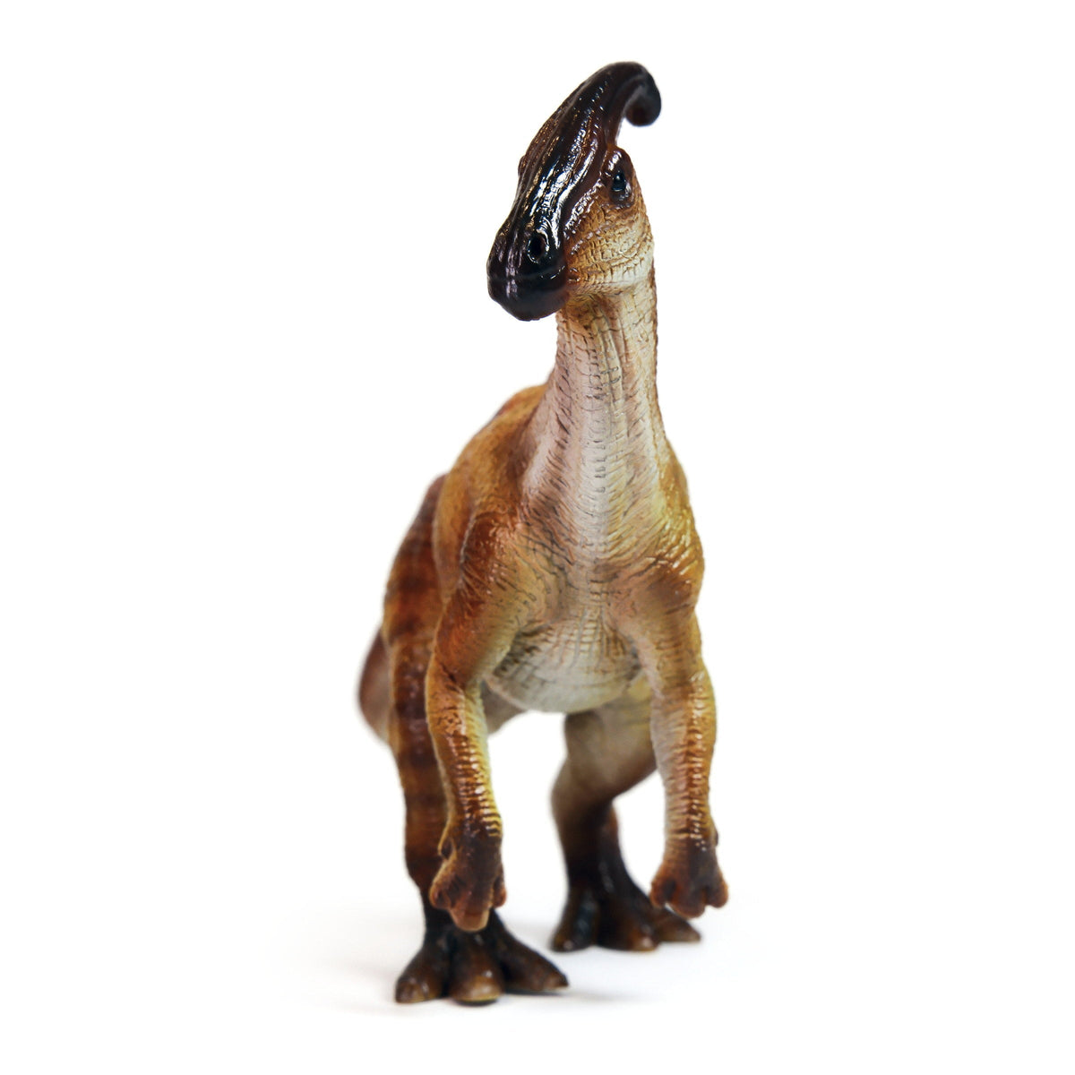 Parasaurolophus Figure, front view on a white background